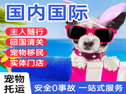 宜昌三峡空运国际宠物托运 【国